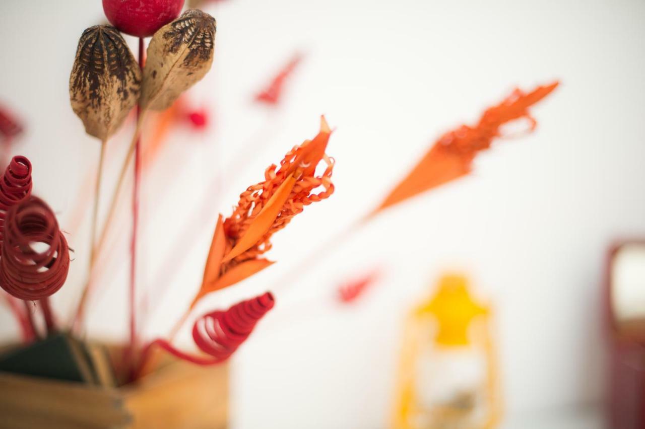 Guest Art Roma Bed & Breakfast Ngoại thất bức ảnh